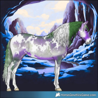 Horse Color:Watercolor White Spotted Bay Onyx 