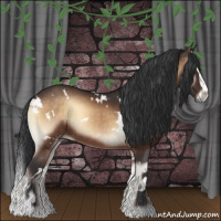 Horse Color:White Spotted Bay Onyx Sabino 
