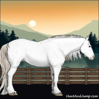 Horse Color:Watercolor White Spotted Chocolate Palomino Onyx Appaloosa 