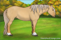 Horse Color:Palomino Dun Rabicano 