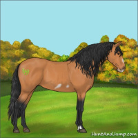 Horse Color:Bay Frame