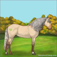 Horse Color:Silver Bay Dun 