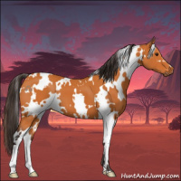 Horse Color:White Spotted Buckskin 