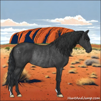 Horse Color:Black Rabicano 