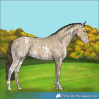 Horse Color:Classic Cream Champagne Ice 