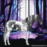 Horse Color:White Spotted Black Tobiano 