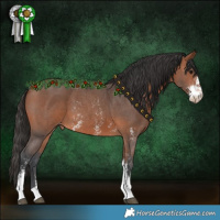 Horse Color:Bay Sabino Appaloosa 