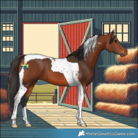 Horse Color:Bay Tobiano 