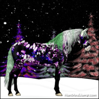 Horse Color:Watercolor Red Onyx Sabino Appaloosa 