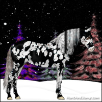 Horse Color:Liver Chestnut Sabino Appaloosa