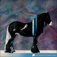 Horse Color:White Spotted Cremello Sabino Appaloosa 