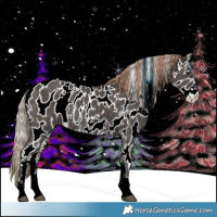 Horse Color:White Spotted Liver Chestnut Sabino Appaloosa Rabicano 