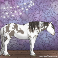 Horse Color:White Spotted Grullo Splash Appaloosa 