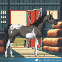 Horse Color:Grullo Tobiano 