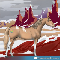 Horse Color:Red Dun Tobiano 