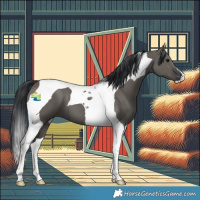 Horse Color:Grullo Tobiano 