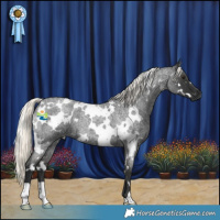 Horse Color:White Spotted Liver Red Roan Mushroom 