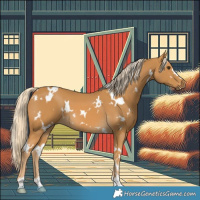 Horse Color:White Spotted Palomino