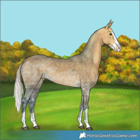 Horse Color:Silver Buckskin Ice Splash 
