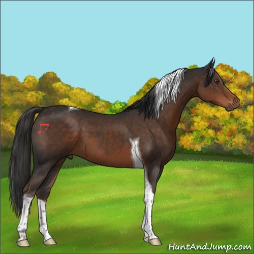 Horse Color:Liver Chestnut Tobiano 
