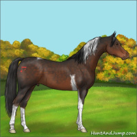 Horse Color:Liver Chestnut Tobiano 