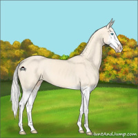 Horse Color:Cremello Splash  and Cremello Splash 