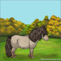Horse Color:Classic Champagne Dun 
