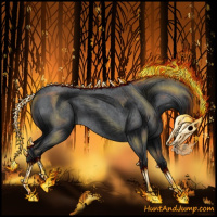 Horse Color:Blue Roan 