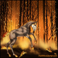 Horse Color:Red Roan