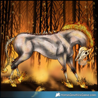 Horse Color:Bay Roan Rabicano