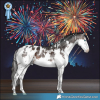 Horse Color:White Spotted Brown Splash Blanket Rabicano 