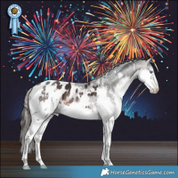 Horse Color:White Spotted Brown Splash Appaloosa Rabicano