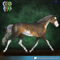 Horse Color:White Spotted Silver Buckskin 