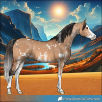 Horse Color:White Spotted Bay Dun Splash 