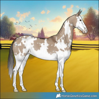 Horse Color:White Spotted Liver Red Dun Splash 
