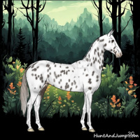 Horse Color:Silver Black Tobiano Near Leopard Rabicano 