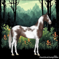 Horse Color:Silver Brown Splash Tobiano Frame Rabicano 
