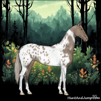 Horse Color:Silver Grullo Tobiano Appaloosa Rabicano 
