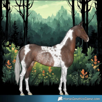 Horse Color:Silver Black Tobiano Rabicano 