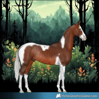 Horse Color:Silver Brown Splash Tobiano Rabicano
