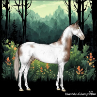 Horse Color:Gray Silver Brown Pearl Sabino Tobiano Frame Rabicano