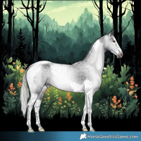 Horse Color:Gray Silver Brown Splash Tobiano Rabicano