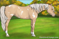 Horse Color:White Spotted Silver Classic Champagne Tobiano 