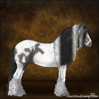 Horse Color:Gray Grullo Tobiano Frame Appaloosa 