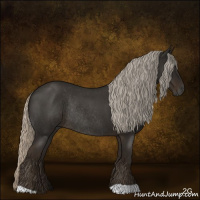 Horse Color:Gray Silver Smoky Blue Roan Rabicano 