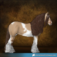 Horse Color:Gray Red Dun Tobiano Frame 