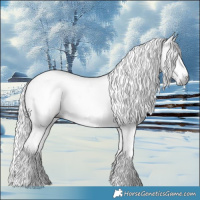 Horse Color:Gray Palomino Roan Dun Splash Tobiano Frame Rabicano 