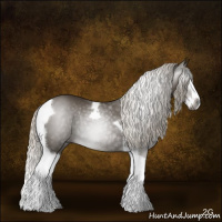 Horse Color:Gray Silver Smoky Blue Roan Splash Tobiano Appaloosa Rabicano 