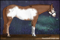 Horse Color:Chestnut Frame