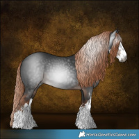 Horse Color:Gray White Spotted Liver Chestnut 